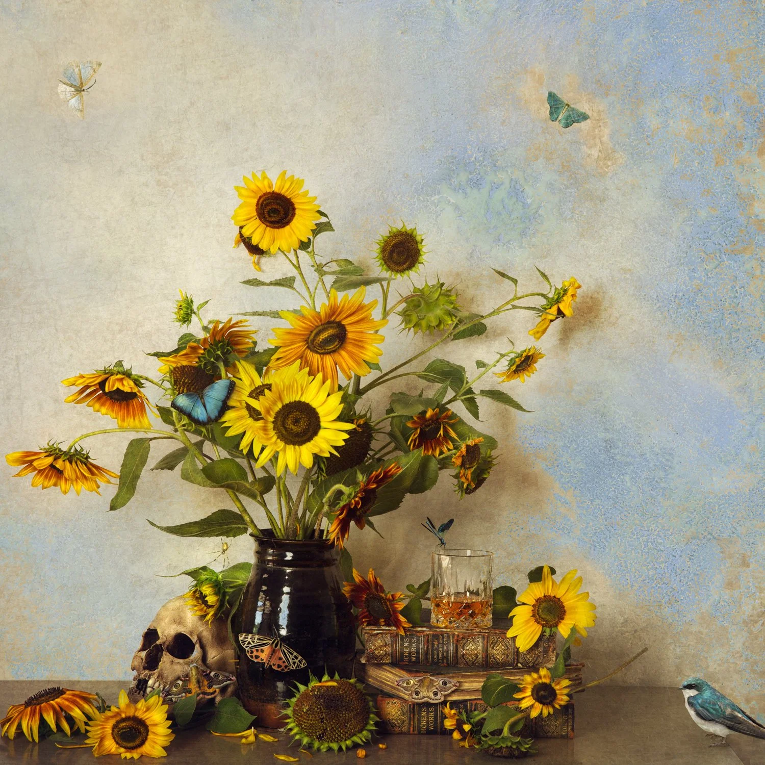 square-crop-sunflower-bluebird.jpg