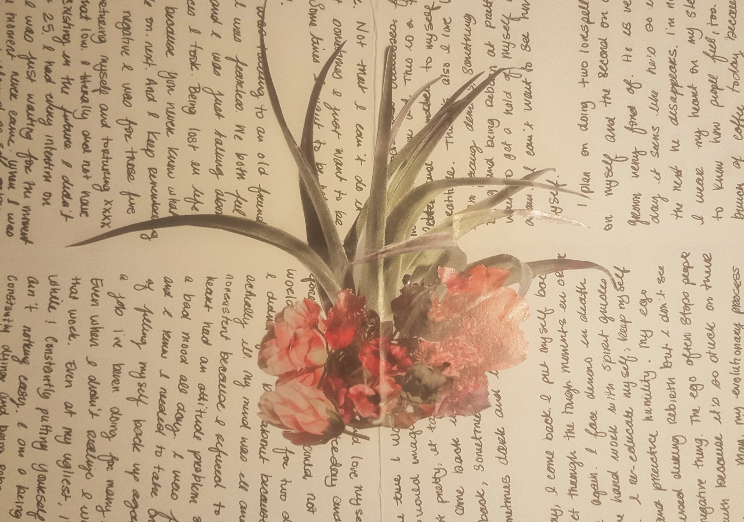 flower.jpg