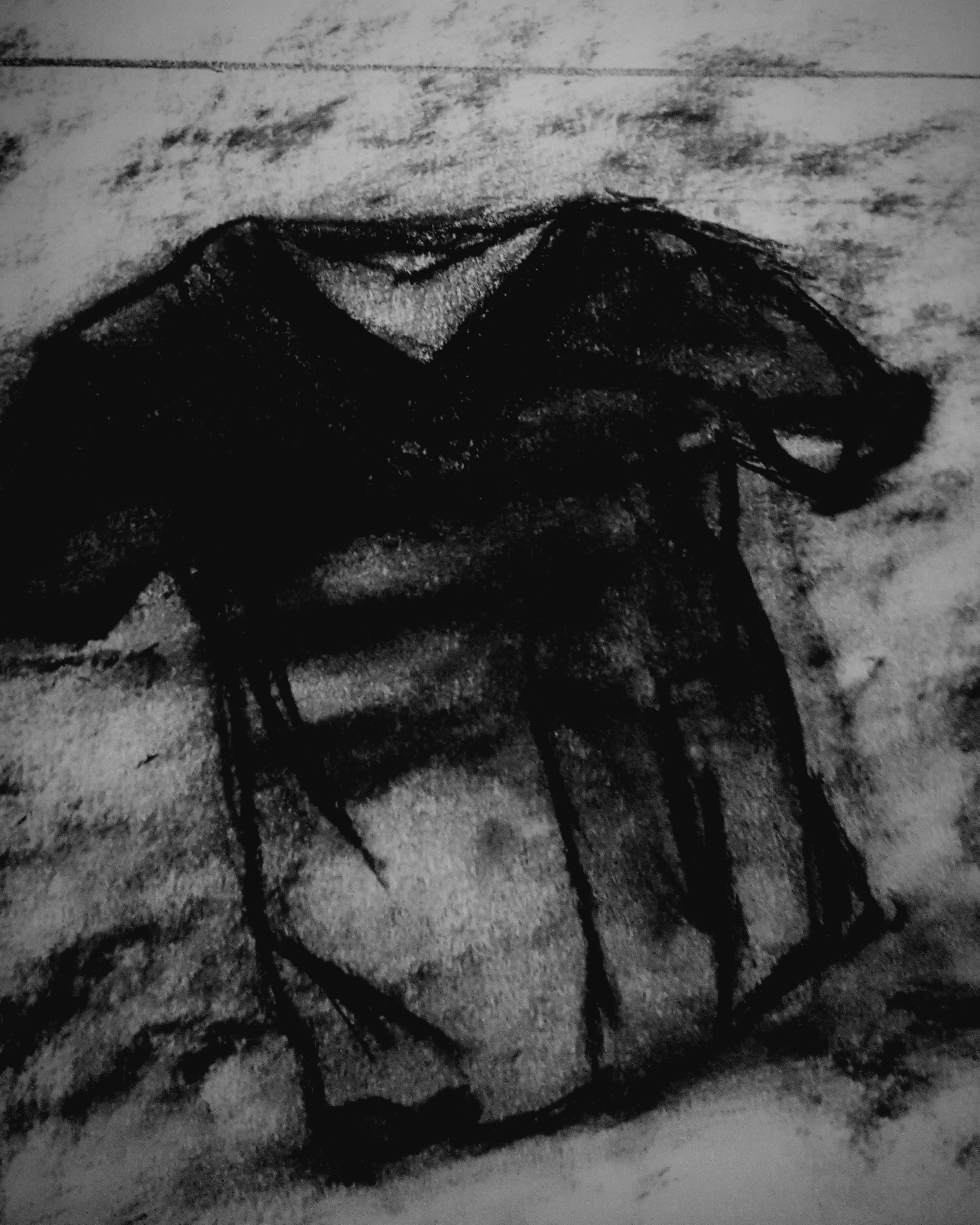 shirt2.png