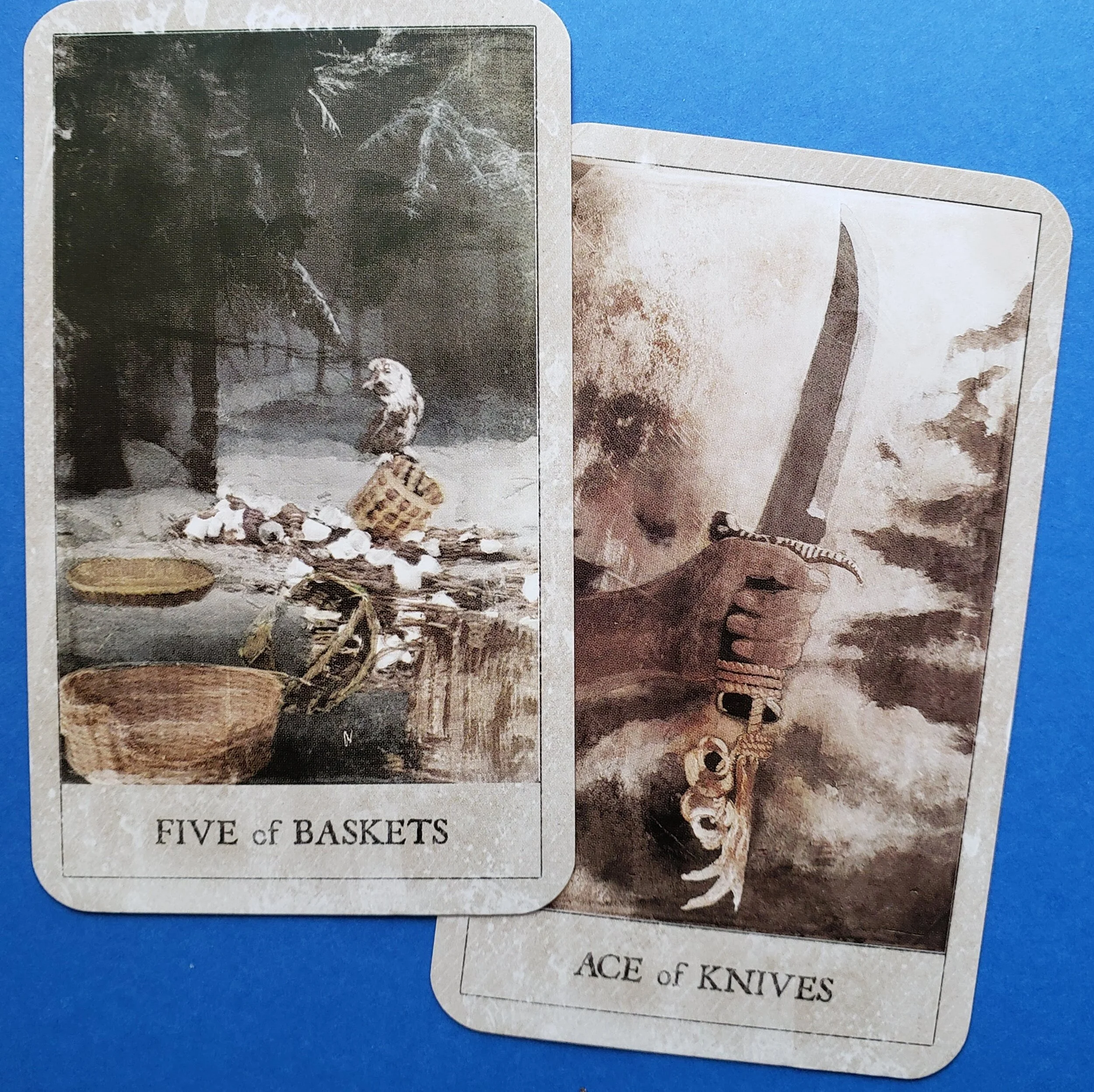 The Hoodoo Tarot deck by Tayannah Lee McQuillar