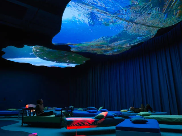 MCA-Pipilotti-Rist-4th-Floor-to-Mildness-from-the-Mildness-Family-2016-LowRes-640x480.jpg