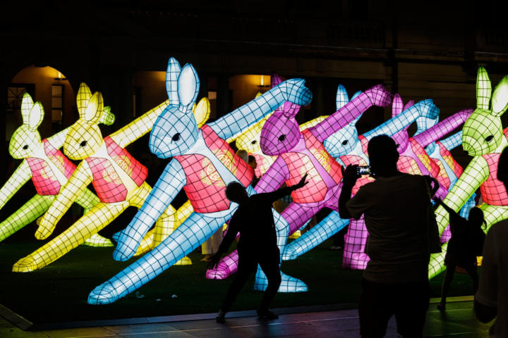 rabbit-720x480.jpg