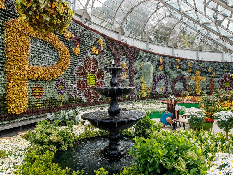 pollinationatthecalyx2.jpeg