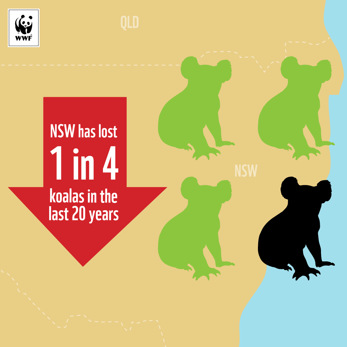NSW-Koala-Map-Cropped.png