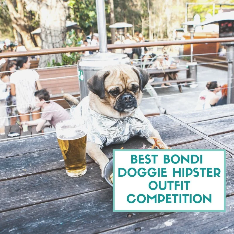 pawsbondi.jpg