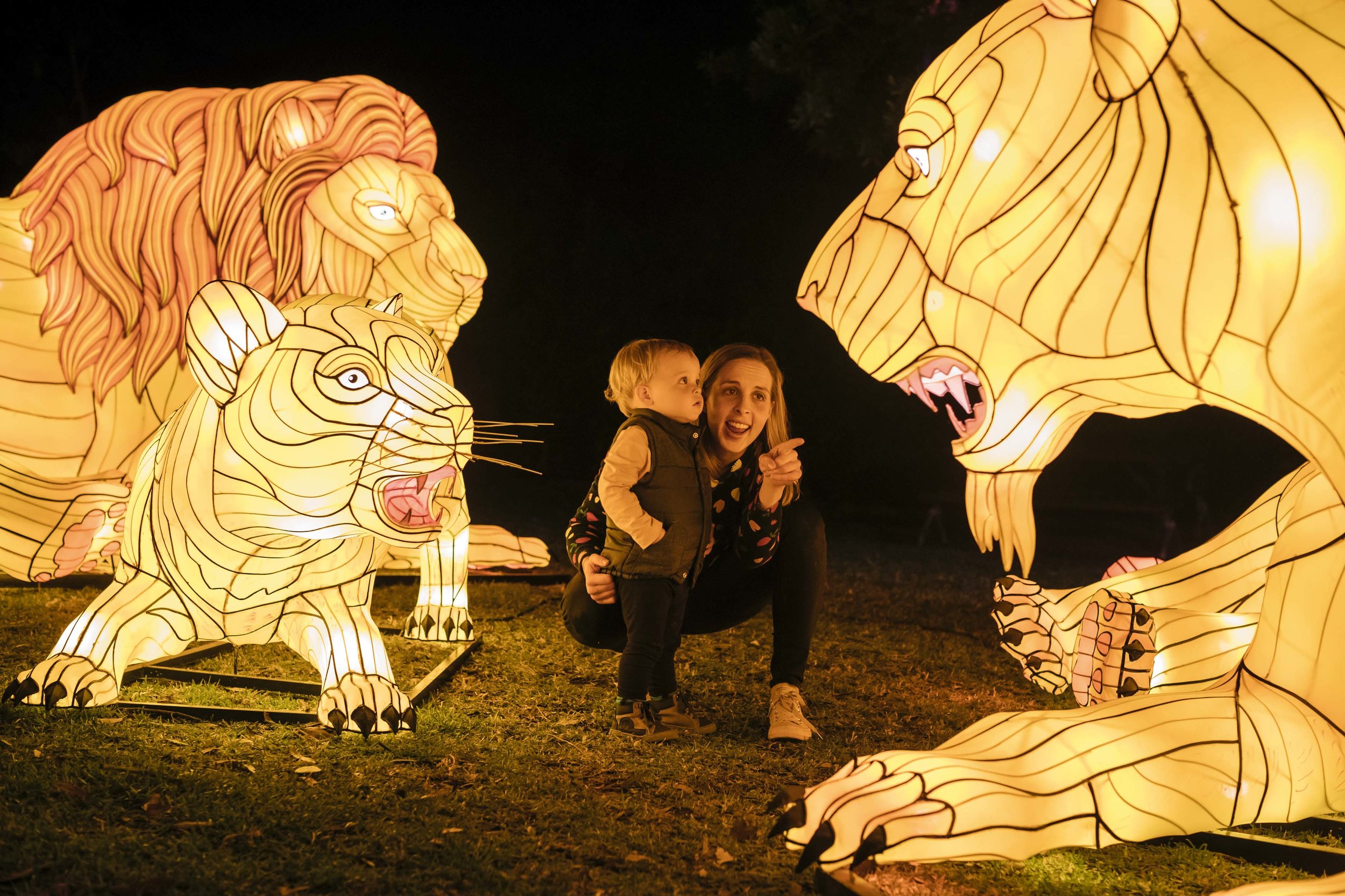 VividSydney2019_TarongaZoo_Lions_CREDITDestinationNSW_DB079.jpg