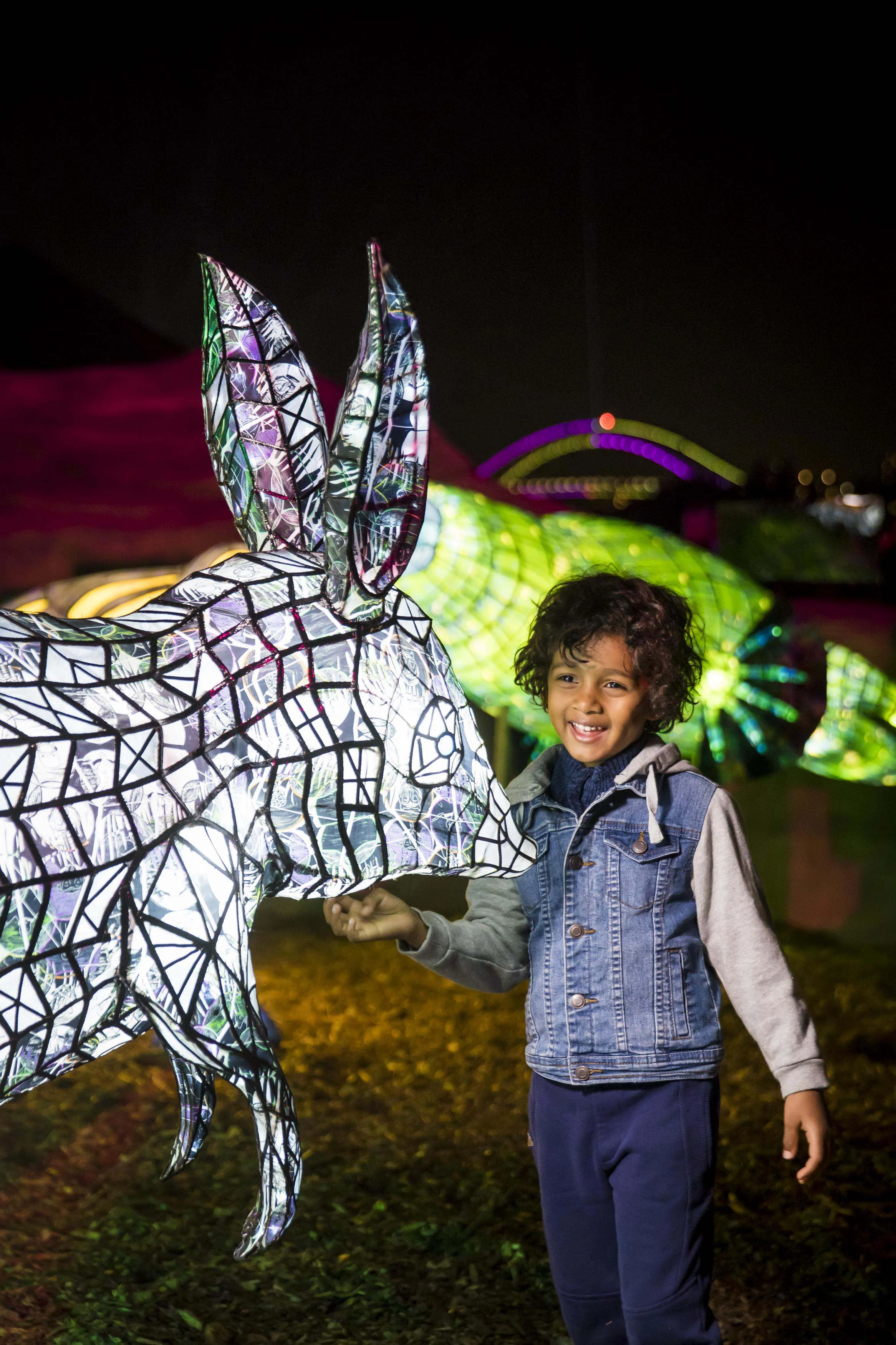 VividSydney2018_TarongaZooOpeningNight_Bilby_CREDITDestinationNSW_AK009.jpg