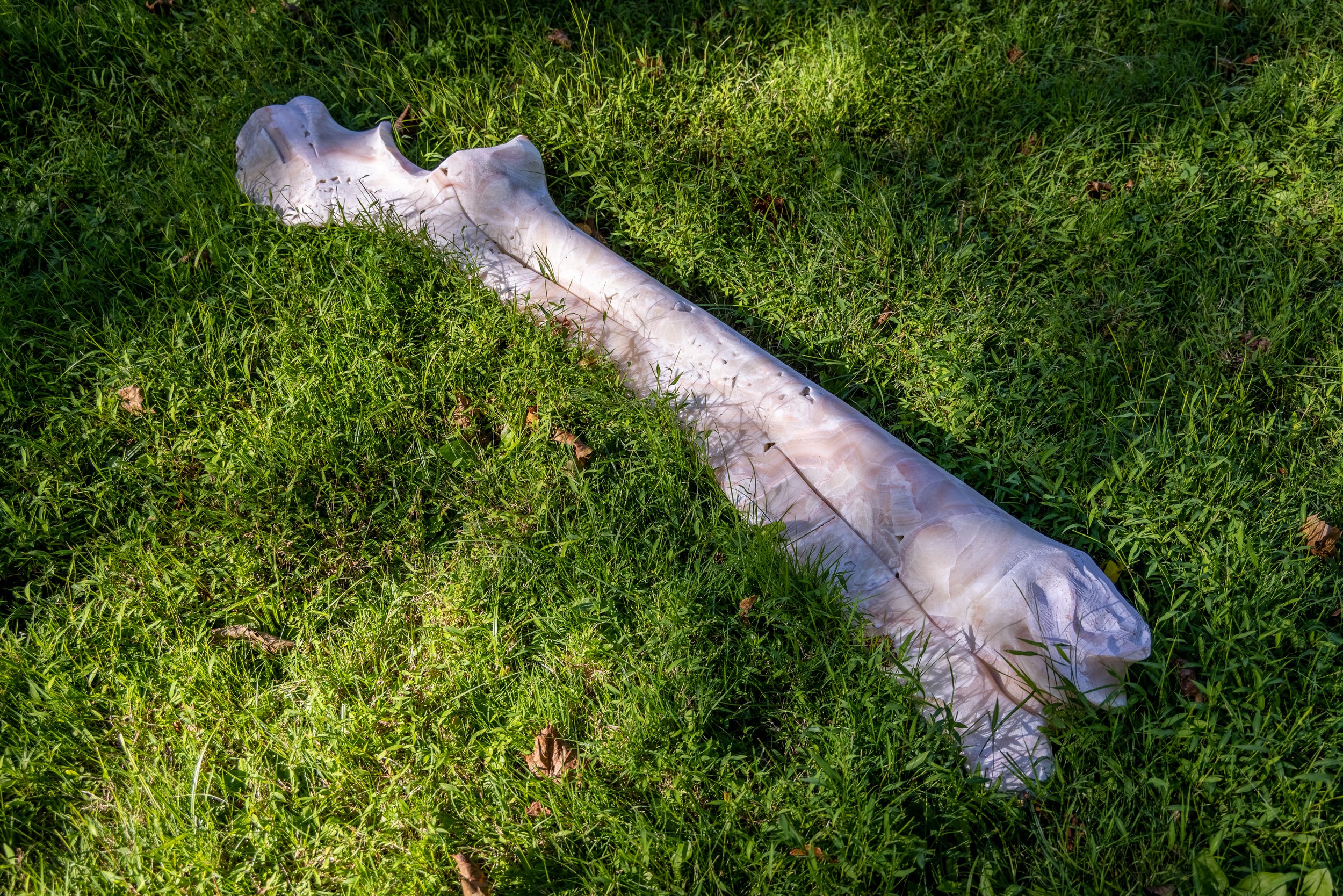 Hide (Bone 33), 2021, Persian onyx, 55 x 14 x 9 inches