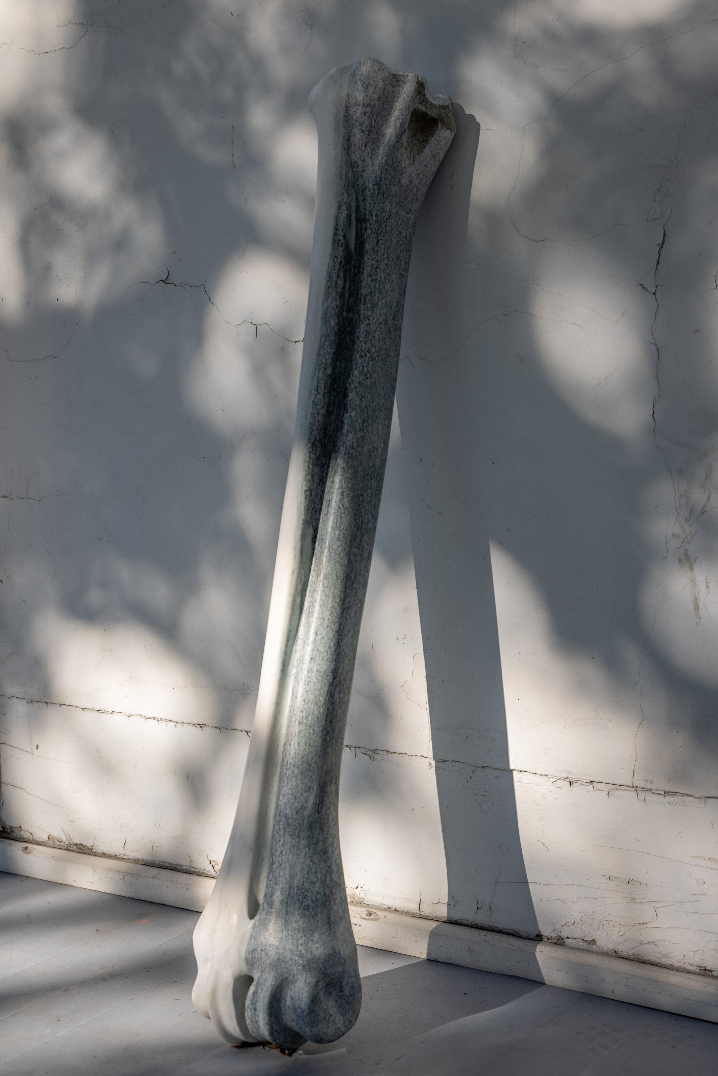 Bone (8), 2014, West Rutland marble, 48 x 7 x 5 inches