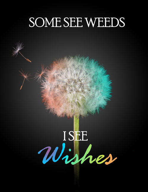 I-SEE-WISHES-ver2.jpg