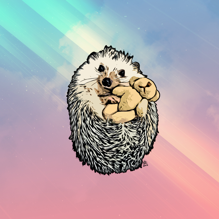 ✧Mǟɢɨƈֆȶօʀʍ✧° — Old Hedgehog Cuddles