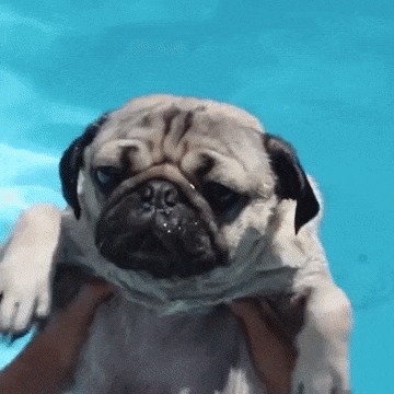 ezgif.com-optimize (1) copy 3.gif