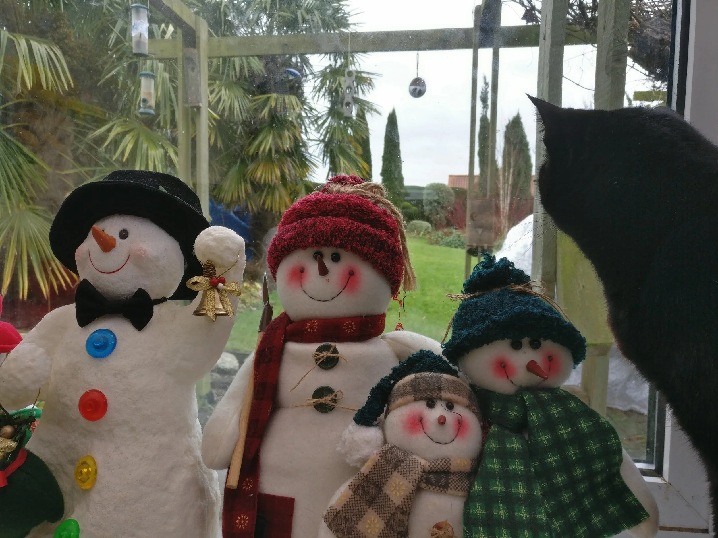 The cat was intrigued by our decorative snowmen