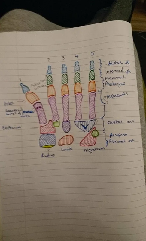 hand_sam.jpg