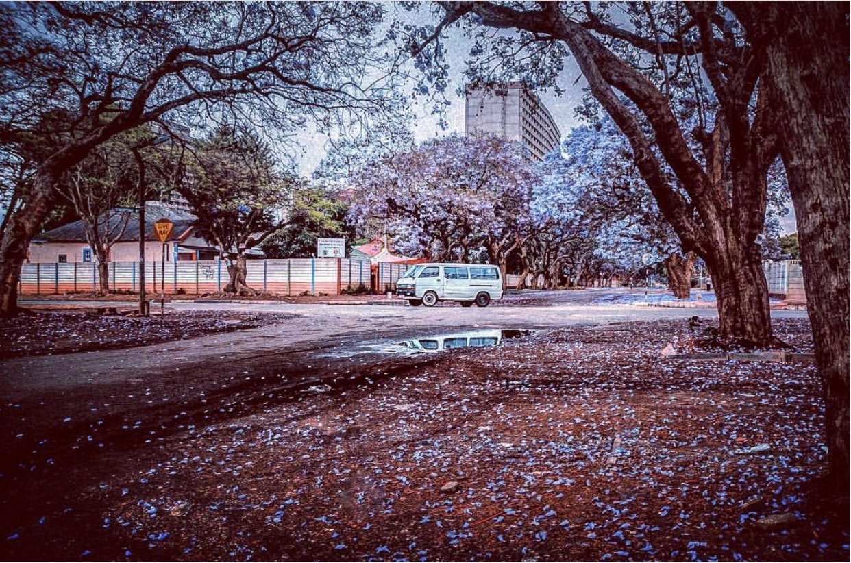 Zimbabwe.jpg