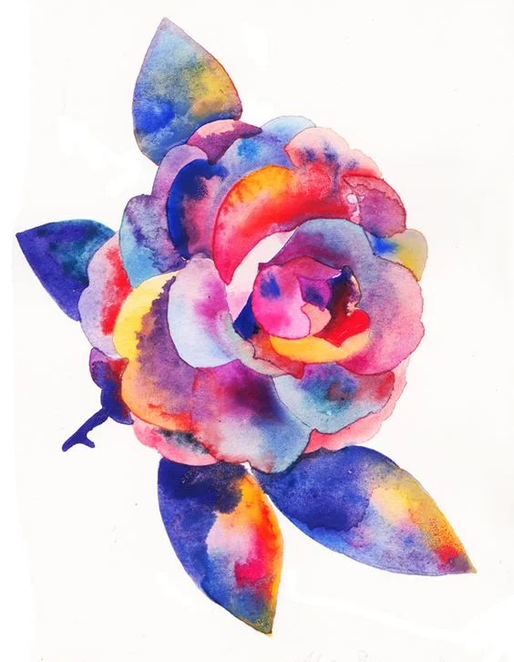 "Camellia" Watercolour on Paper, 2013