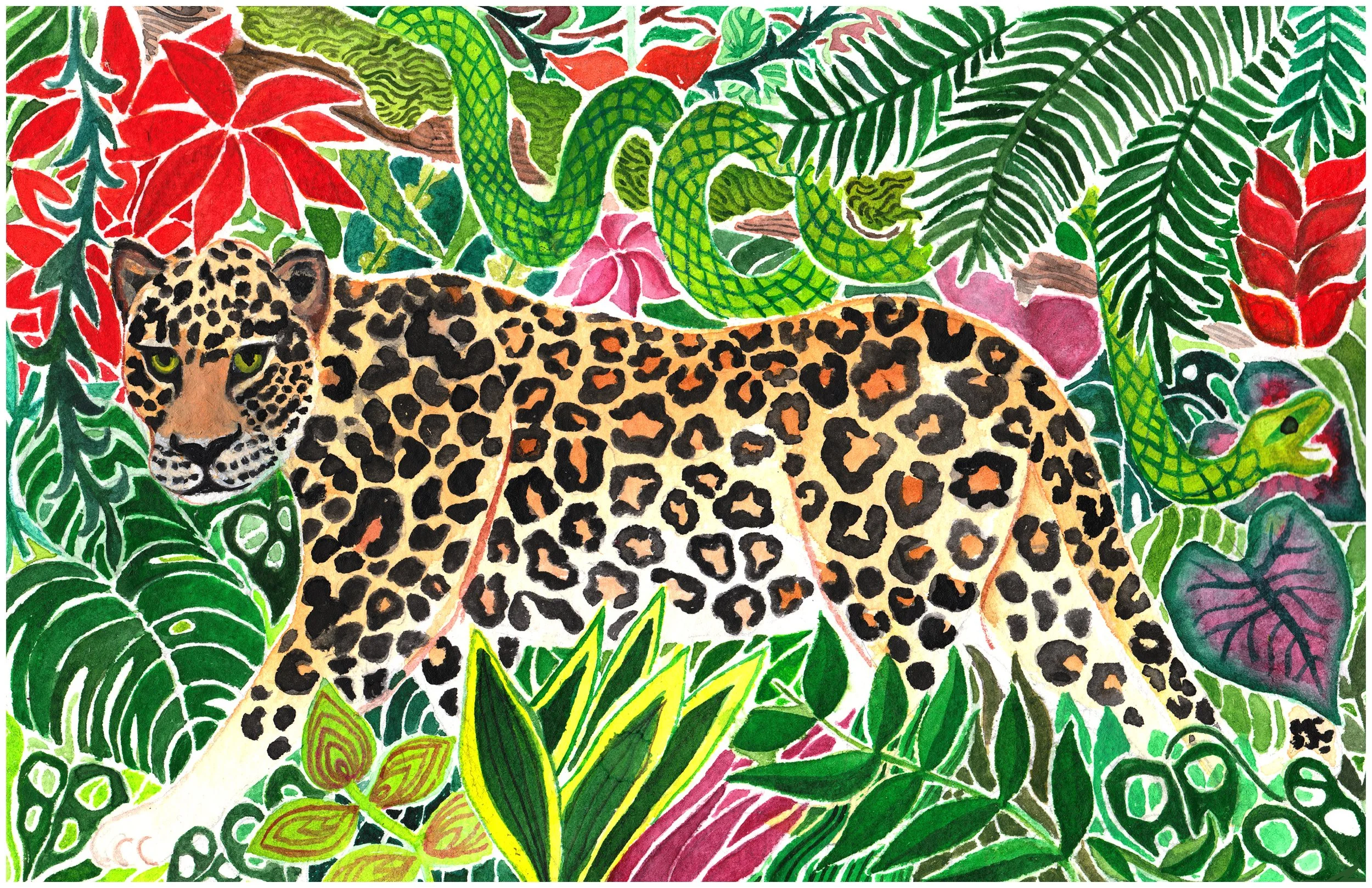 10.leopard.jpg