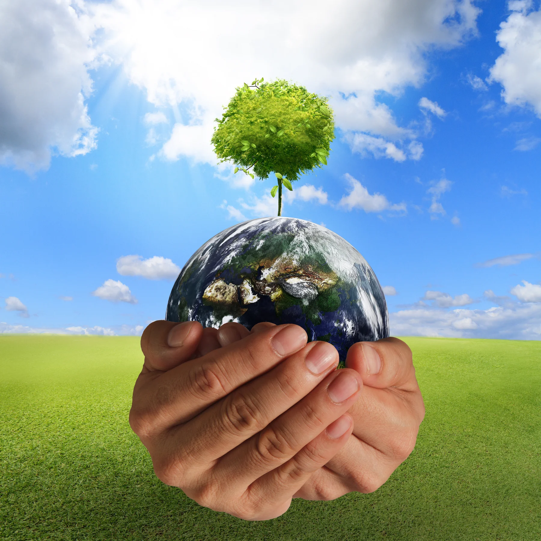 hand globetree.jpg