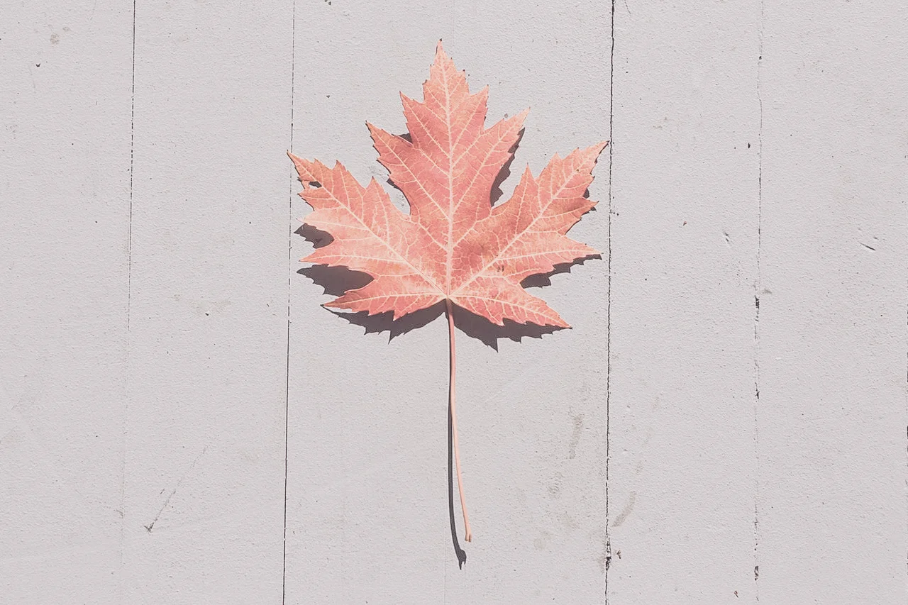 Herbstfeuer