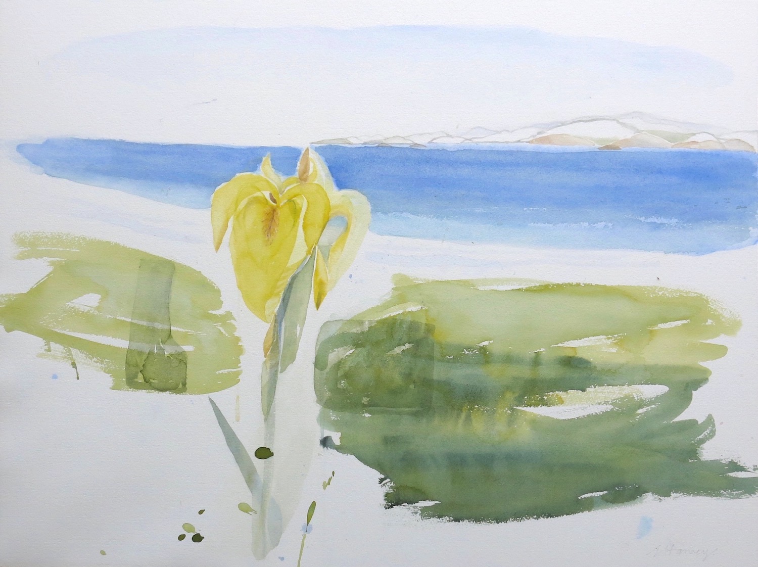 the meadow and The Sound, Iona - watercolour on paper 53 x 70 cm