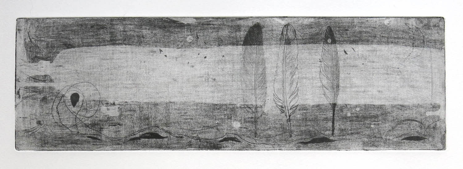 flight over the sound-iona soft ground etching with aquatint variable edition of 15 13 x 42 cm