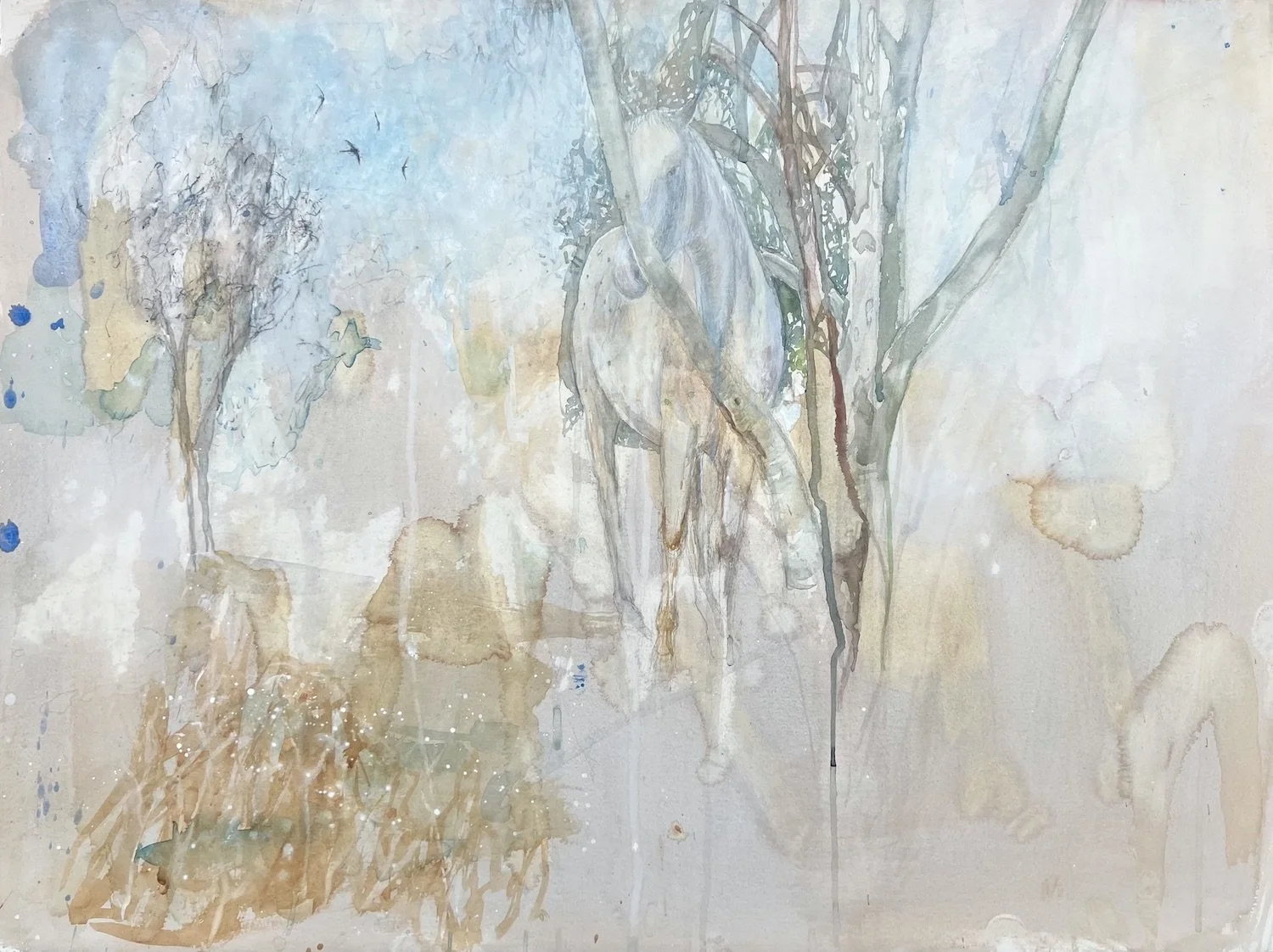 horse,scopello - watercolour and tempera on paper - 58 x 76cm