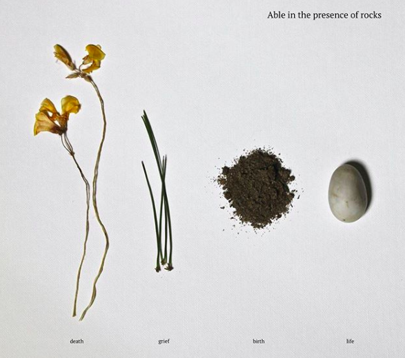 Able in the presence of rocks 16 May 2018