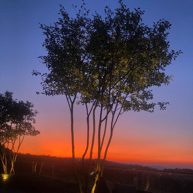 As the sun sets and the new moon in virgo shines above us, I was meditating and setting my intentions, thinking of the things I want to manifest and all that till I realised that the biggest part of manifestation is through appreciating. Appreciating my loved ones and appreciating one of greatest gifts of all and that is the present moment. Tonight I invite you guys to forget about writing out your intentions, instead be thankful for all you have achieved and for all that you are and all that you will become. Wishing everyone a magical evening ✨🧜🏽♀️ #myspiritualdiet #newmooninvirgo