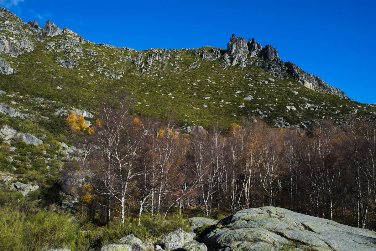  Nascente rio Mondego, em Manteigas, Serra Estrela. PAULO CUNHA / SLIDESHOW 