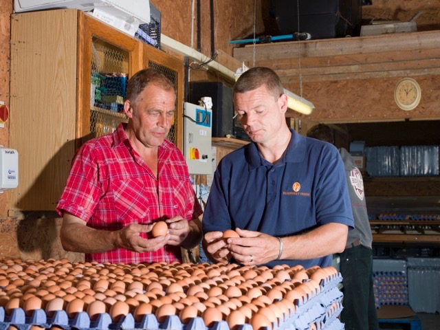 hfandp_free_range_organic_eggs_2.jpg
