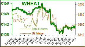 Wheat.png