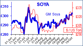 Soya.png