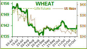 Wheat.png