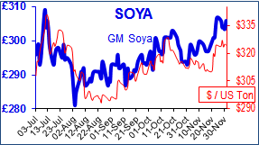 soya.png