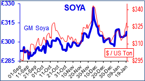 soya.png