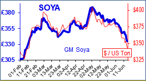 soya.png