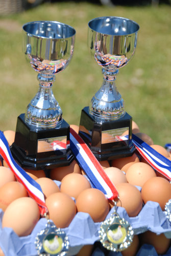 Awards.png