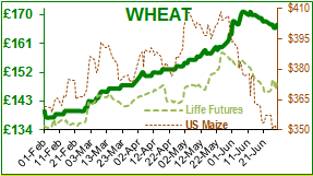Wheat.png