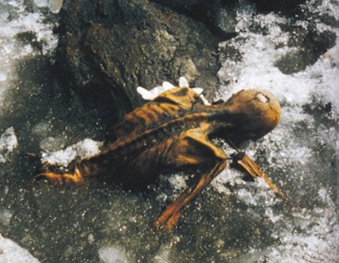 Otzi.png