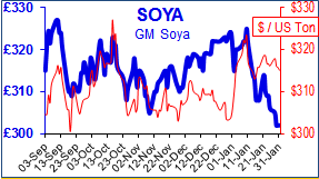 soya.png