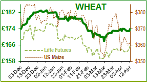 Wheat.png
