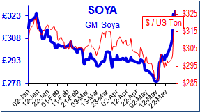SoyaM.png