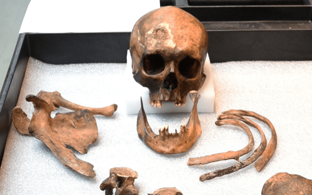 skull_640px.png
