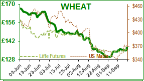 Wheat.png