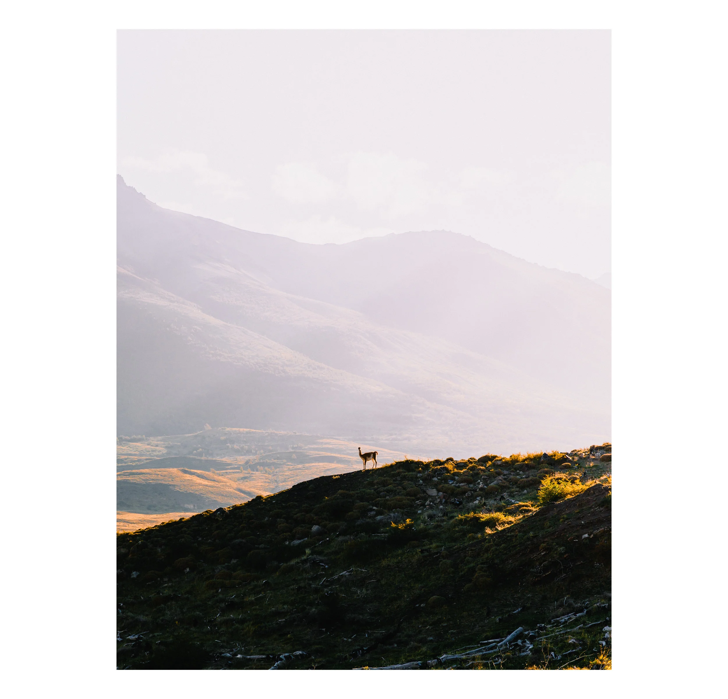 _Y5A5999-Edit-2.jpg
