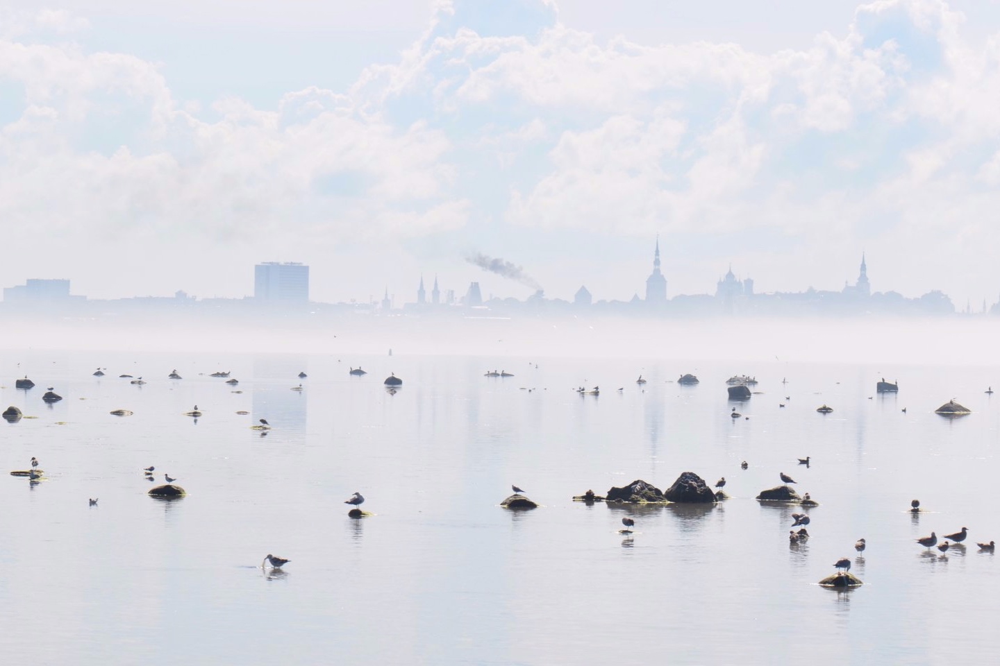 Tallinn.jpg