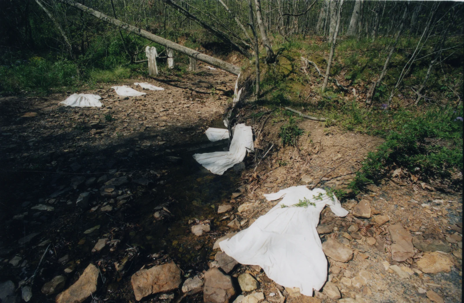 Dry Bed