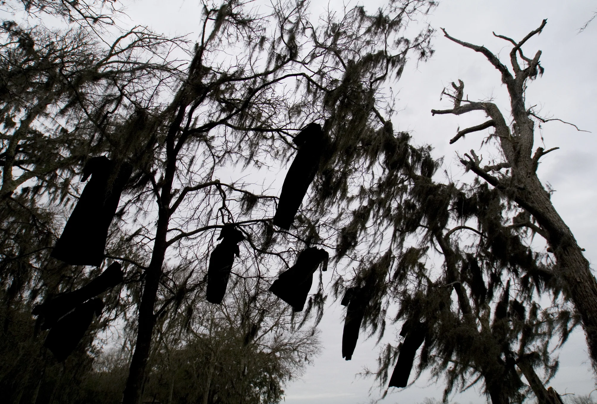 Bayou Breath