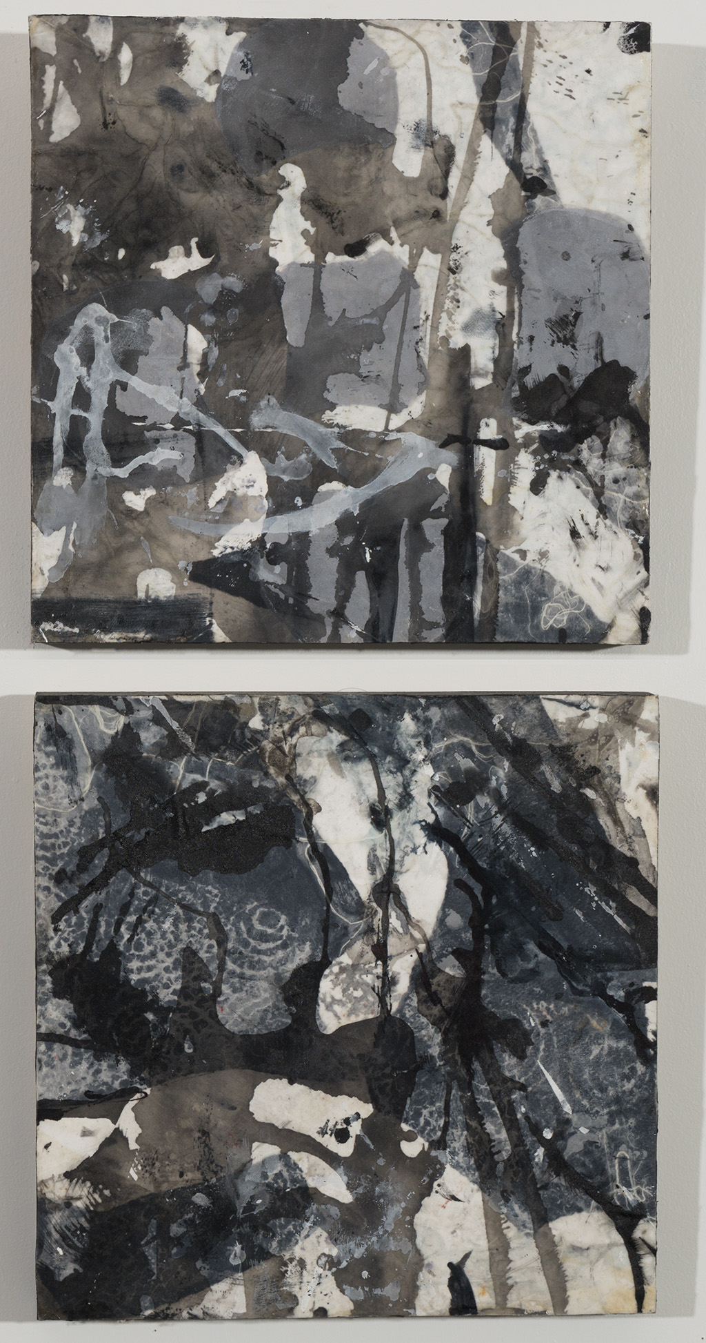 Untitled Diptych