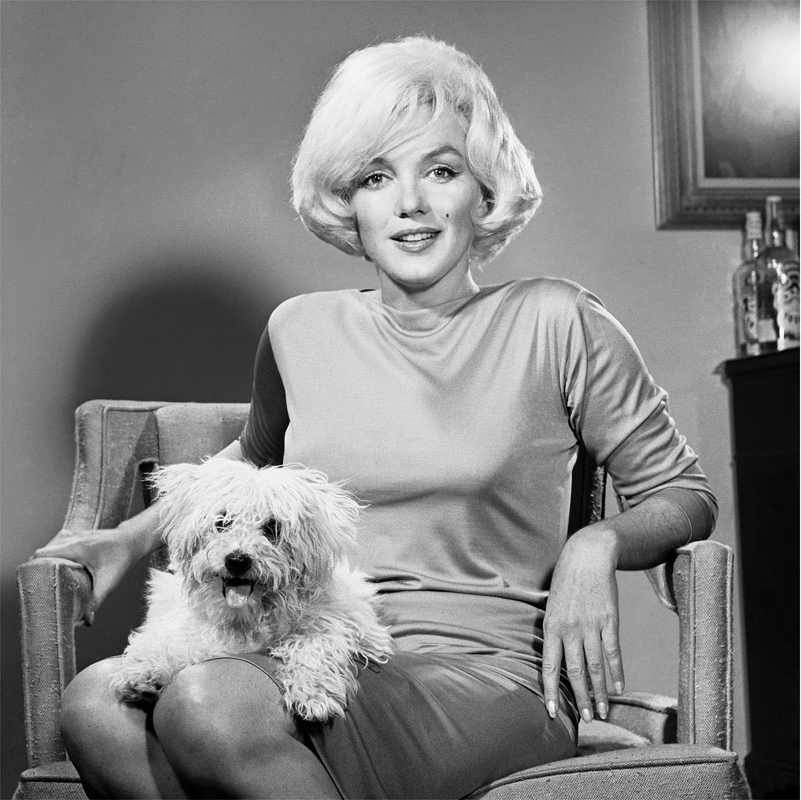 Screen Shot 2017-06-13 at 9.01.56 AM.png